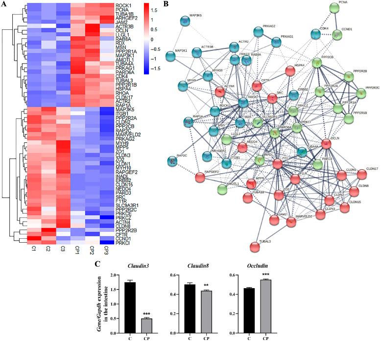 https://cdn.ncbi.nlm.nih.gov/pmc/blobs/34d0/12386127/88b1d681b4dd/genes-16-00949-g004.jpg