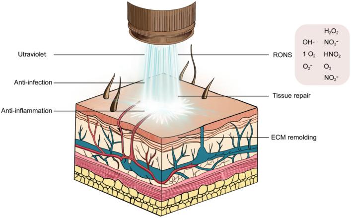 https://cdn.ncbi.nlm.nih.gov/pmc/blobs/34d2/11453049/2affc605b787/40001_2024_2088_Fig3_HTML.jpg