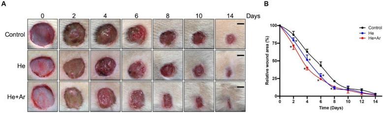https://cdn.ncbi.nlm.nih.gov/pmc/blobs/34d2/11453049/fa667b77d6b4/40001_2024_2088_Fig5_HTML.jpg