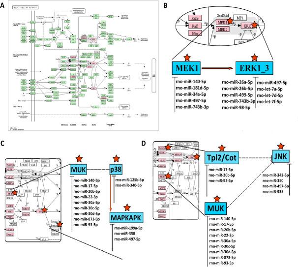 https://cdn.ncbi.nlm.nih.gov/pmc/blobs/34d4/7716024/5b53ad5c9938/NRR-15-2123-g005.jpg