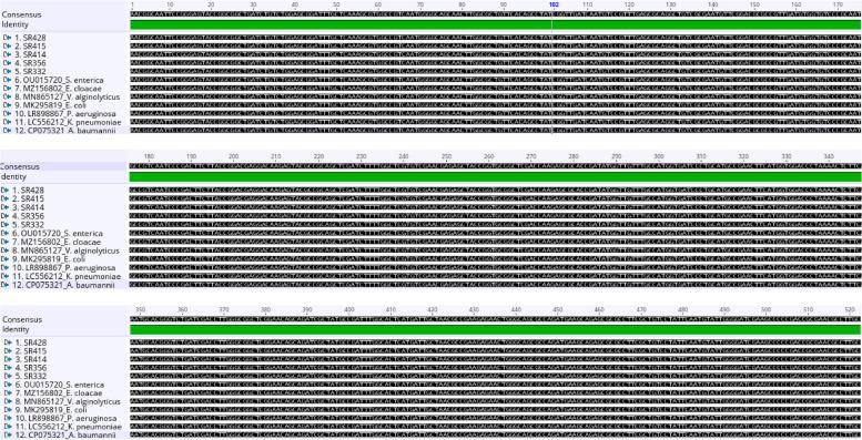 https://cdn.ncbi.nlm.nih.gov/pmc/blobs/34d6/10558413/53fb6c5231a4/43141_2023_554_Fig3_HTML.jpg