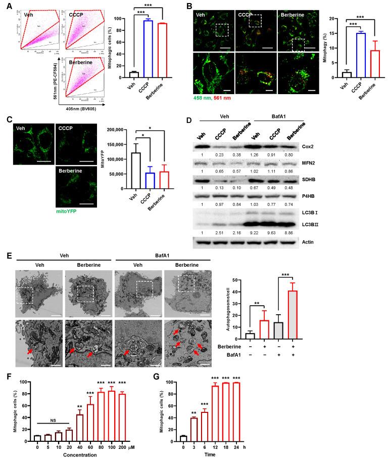 https://cdn.ncbi.nlm.nih.gov/pmc/blobs/34d6/10779002/a5f54cedcdc6/ijms-25-00219-g001.jpg