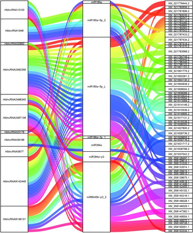 https://cdn.ncbi.nlm.nih.gov/pmc/blobs/34d6/11619270/262aaf1addc1/13007_2024_1301_Fig8_HTML.jpg