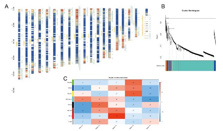 https://cdn.ncbi.nlm.nih.gov/pmc/blobs/34d6/11619270/b7f7fce0feb9/13007_2024_1301_Fig1_HTML.jpg