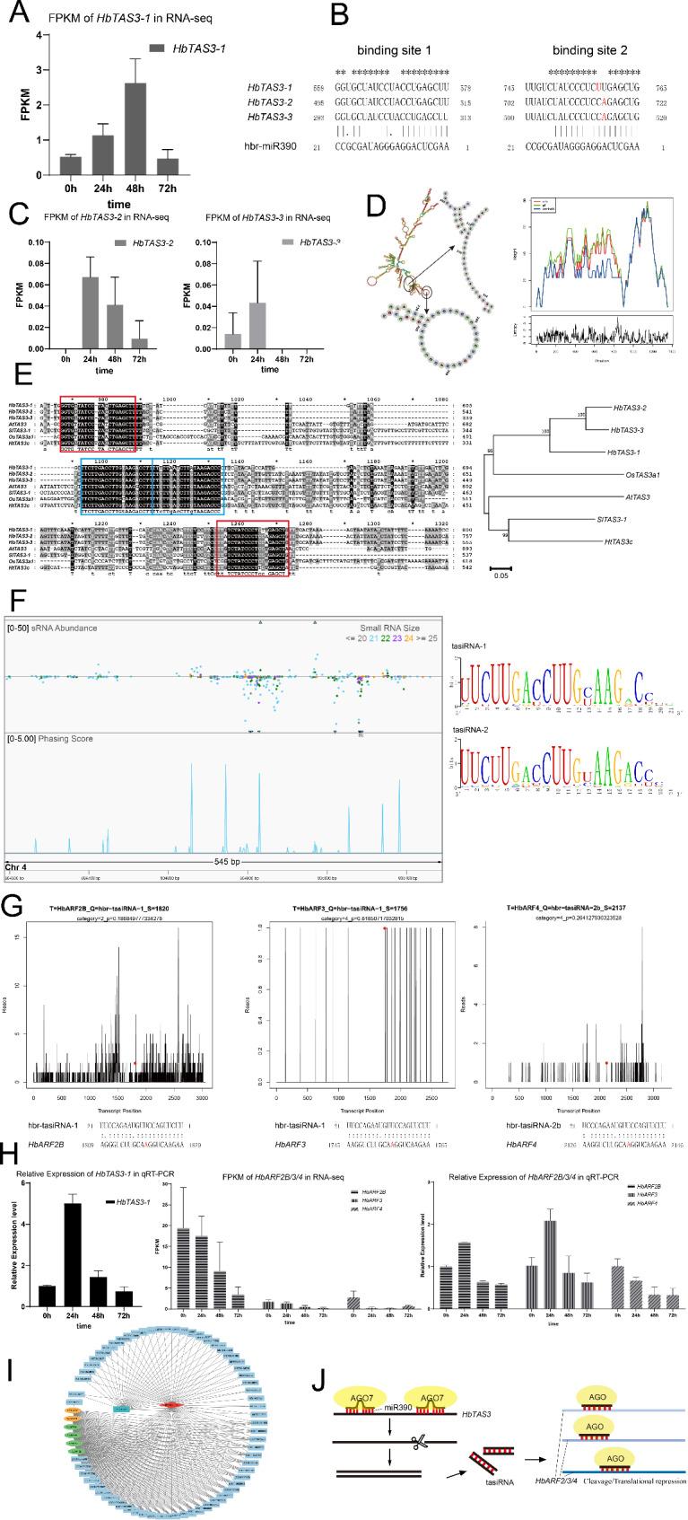 https://cdn.ncbi.nlm.nih.gov/pmc/blobs/34d6/11619270/c139c75d1529/13007_2024_1301_Fig7_HTML.jpg