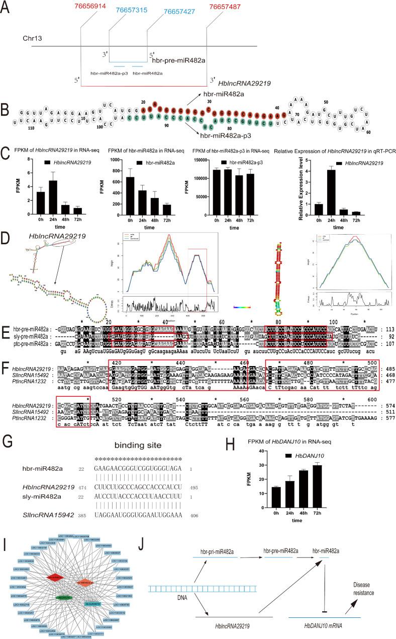 https://cdn.ncbi.nlm.nih.gov/pmc/blobs/34d6/11619270/d2c9db335e89/13007_2024_1301_Fig6_HTML.jpg