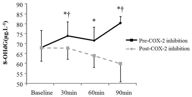 https://cdn.ncbi.nlm.nih.gov/pmc/blobs/34d7/5344903/dc9a266eedd3/fphys-08-00138-g0001.jpg
