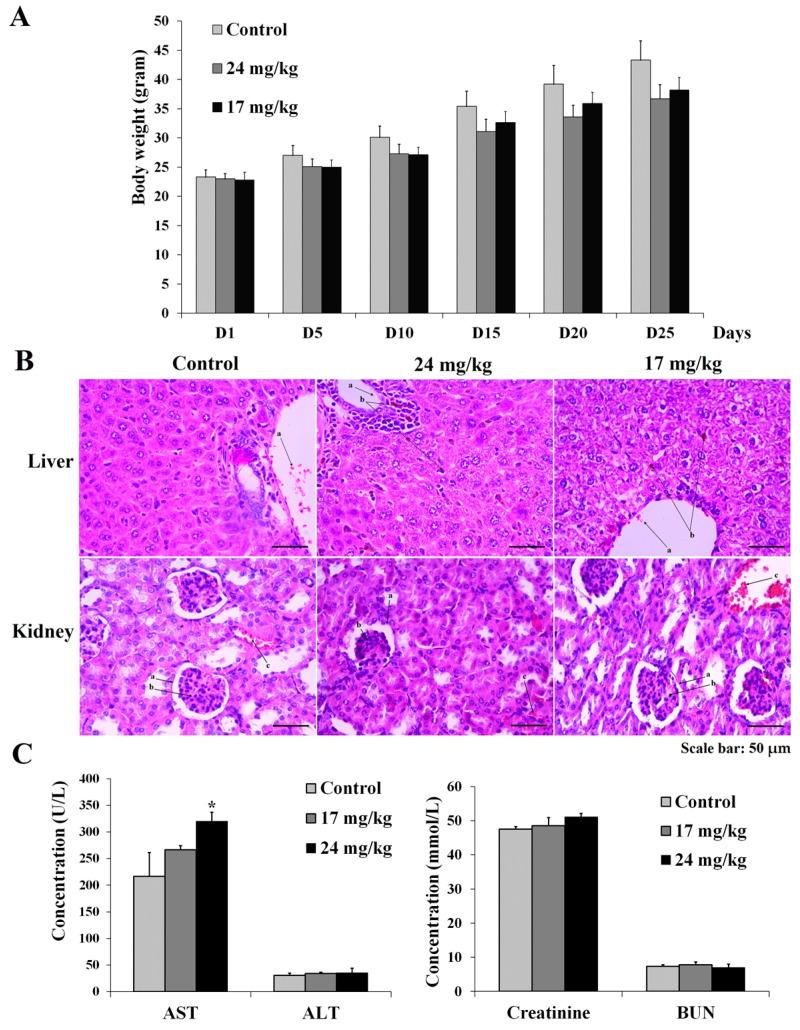 https://cdn.ncbi.nlm.nih.gov/pmc/blobs/34d8/10222081/55805c57d25f/pharmaceutics-15-01523-g002.jpg