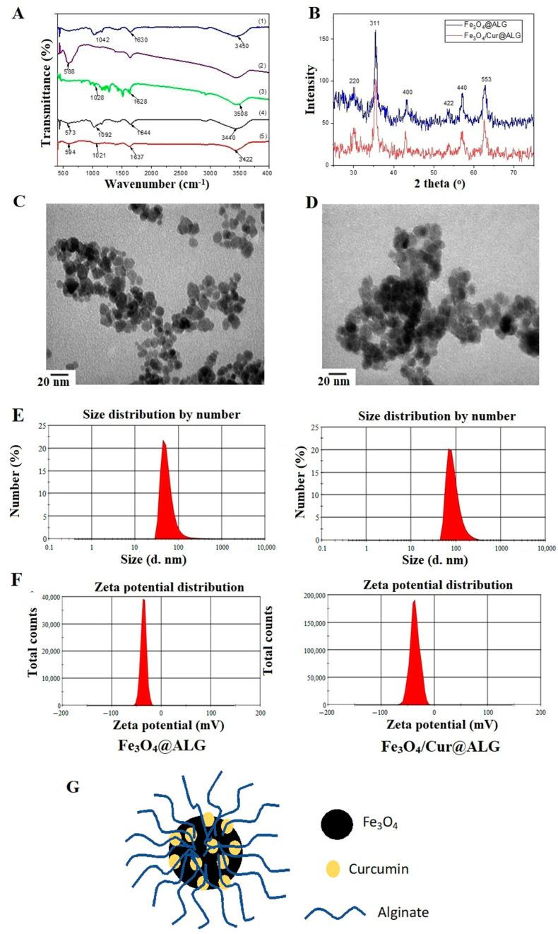 https://cdn.ncbi.nlm.nih.gov/pmc/blobs/34d8/10222081/e3720f9cb98a/pharmaceutics-15-01523-g001.jpg