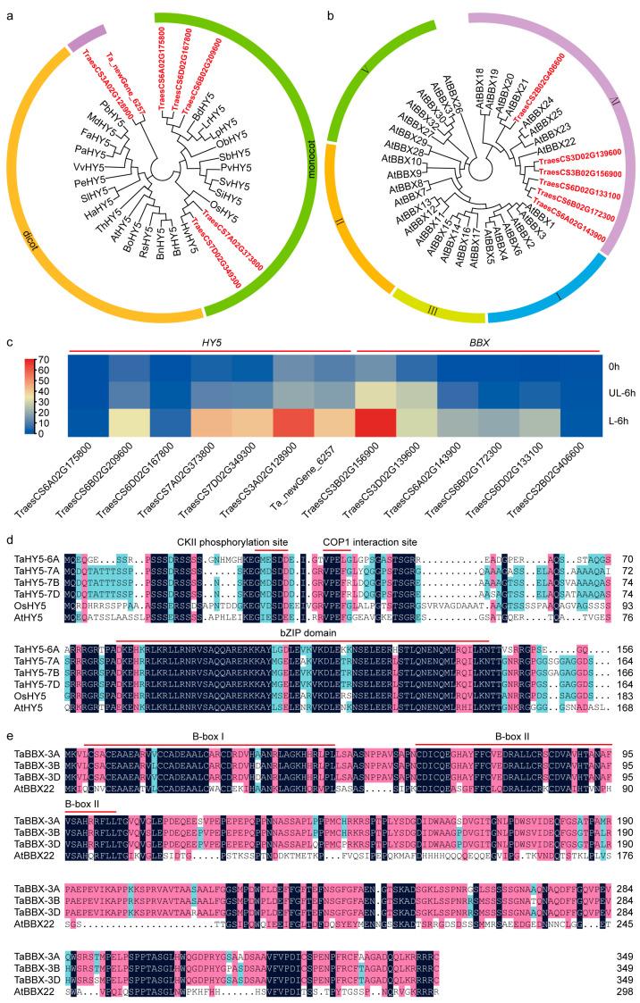https://cdn.ncbi.nlm.nih.gov/pmc/blobs/34d8/10458647/1116248a9366/plants-12-02996-g002.jpg