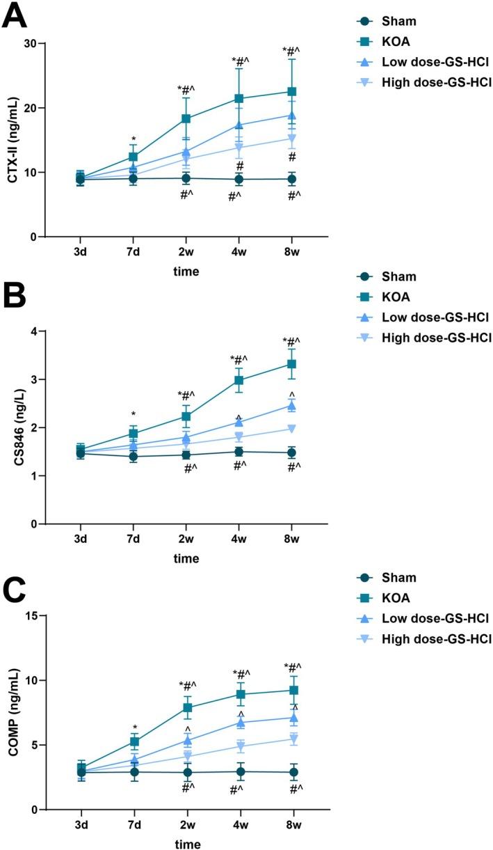 https://cdn.ncbi.nlm.nih.gov/pmc/blobs/34d8/12087291/2954f20b15bc/JCMM-29-e70579-g006.jpg