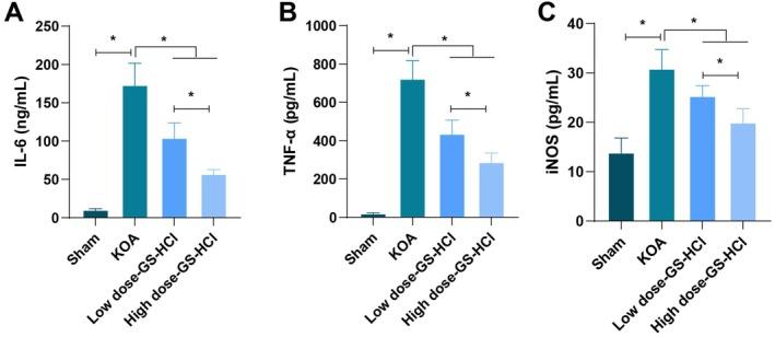 https://cdn.ncbi.nlm.nih.gov/pmc/blobs/34d8/12087291/ffc11fb2c258/JCMM-29-e70579-g002.jpg