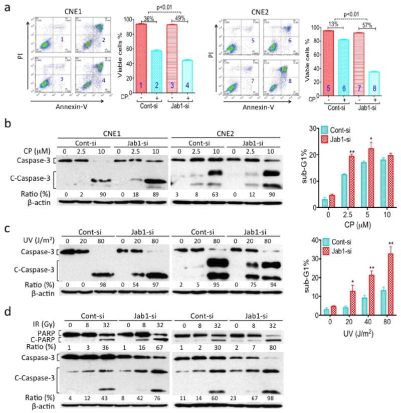 https://cdn.ncbi.nlm.nih.gov/pmc/blobs/34d8/3566273/69b6711e5a99/nihms383122f4.jpg