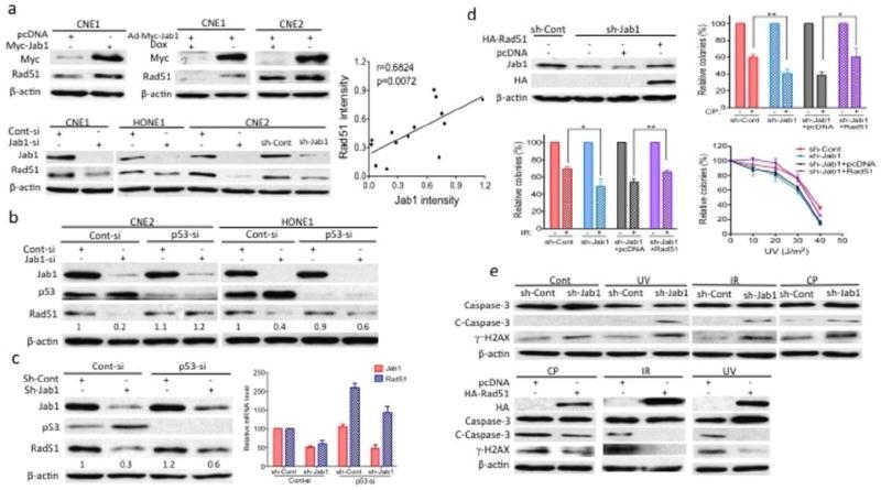 https://cdn.ncbi.nlm.nih.gov/pmc/blobs/34d8/3566273/a69755fea642/nihms383122f6.jpg