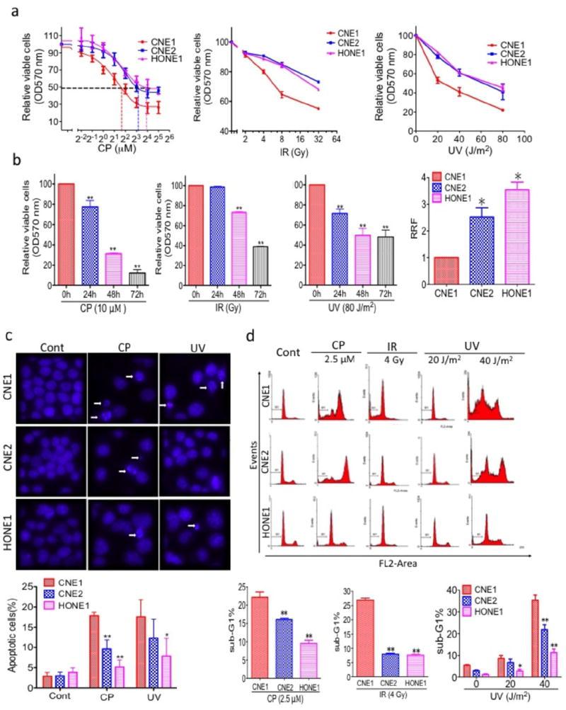 https://cdn.ncbi.nlm.nih.gov/pmc/blobs/34d8/3566273/ed72af9ca2d3/nihms383122f1.jpg