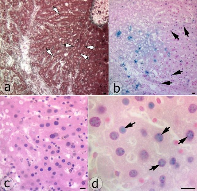 https://cdn.ncbi.nlm.nih.gov/pmc/blobs/34d9/9590356/3d0b17081ae0/CHSJ-48-02-146-fig4.jpg