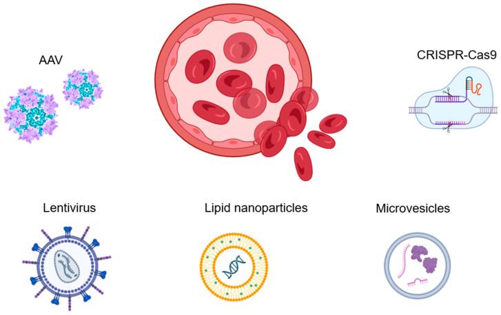 https://cdn.ncbi.nlm.nih.gov/pmc/blobs/34dd/11274510/0268d4542025/biomolecules-14-00854-g003.jpg