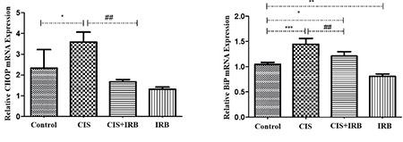https://cdn.ncbi.nlm.nih.gov/pmc/blobs/34de/11096784/7204d5a25f12/TJPS-21-88-g5.jpg