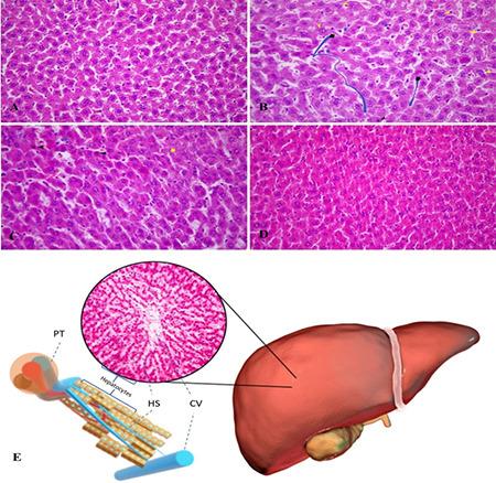 https://cdn.ncbi.nlm.nih.gov/pmc/blobs/34de/11096784/7beb688895a0/TJPS-21-88-g2.jpg