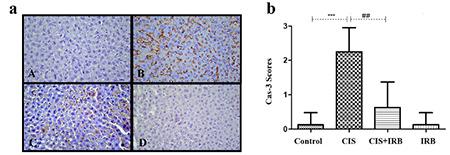 https://cdn.ncbi.nlm.nih.gov/pmc/blobs/34de/11096784/d643f262f129/TJPS-21-88-g4.jpg