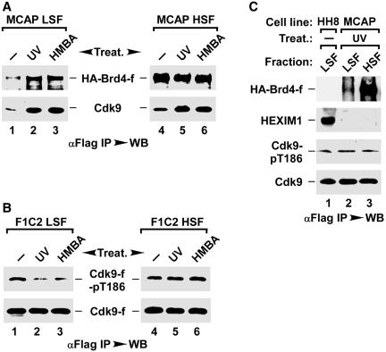 https://cdn.ncbi.nlm.nih.gov/pmc/blobs/34de/3239188/6b7041539659/gkr698f3.jpg