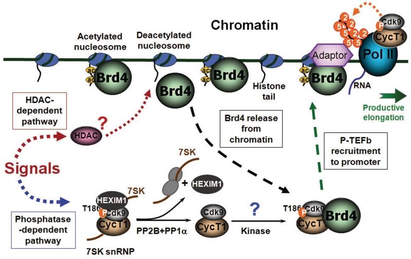 https://cdn.ncbi.nlm.nih.gov/pmc/blobs/34de/3239188/7fbe12c4a8c9/gkr698f7.jpg