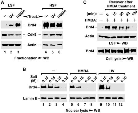 https://cdn.ncbi.nlm.nih.gov/pmc/blobs/34de/3239188/bd1459e9cc61/gkr698f2.jpg