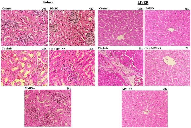 https://cdn.ncbi.nlm.nih.gov/pmc/blobs/34de/7973782/e892a3215b7e/41598_2021_84748_Fig6_HTML.jpg