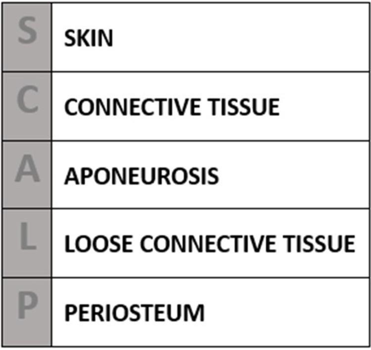 https://cdn.ncbi.nlm.nih.gov/pmc/blobs/34df/11407320/cfe238c5d645/CCID-17-2051-g0002.jpg