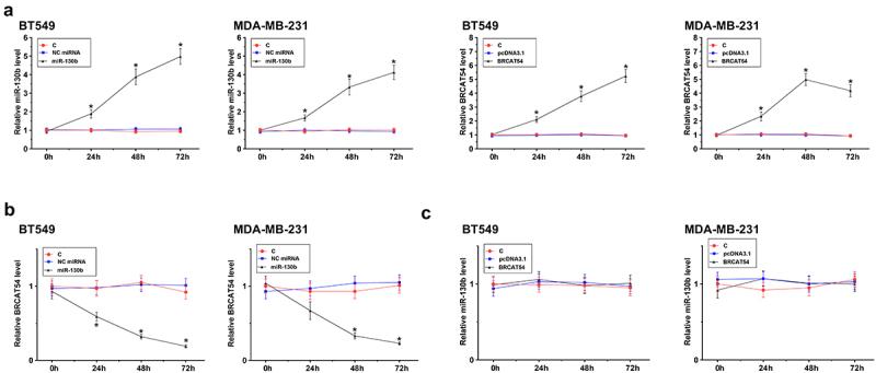 https://cdn.ncbi.nlm.nih.gov/pmc/blobs/34df/8973633/d8d2b7d7878e/KBIE_A_2031393_F0003_OC.jpg