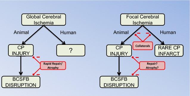 https://cdn.ncbi.nlm.nih.gov/pmc/blobs/34e3/5371201/6ce7a1eba565/12987_2017_56_Fig2_HTML.jpg