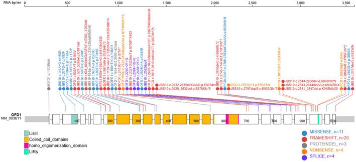 https://cdn.ncbi.nlm.nih.gov/pmc/blobs/34e4/9303915/ae32abf069fd/AJMG-190-57-g003.jpg