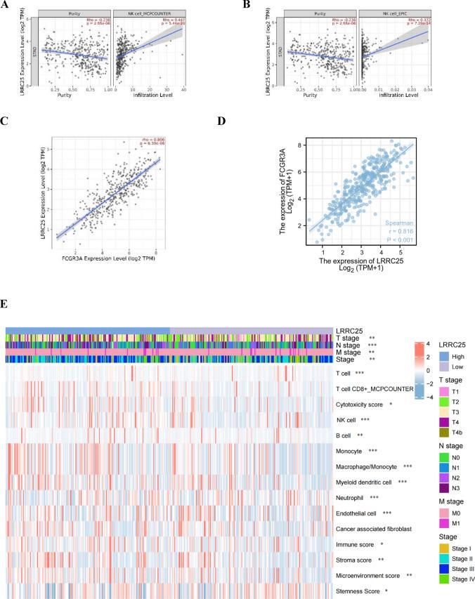 https://cdn.ncbi.nlm.nih.gov/pmc/blobs/34e7/11972229/151abf7f5706/10620_2025_8882_Fig6_HTML.jpg
