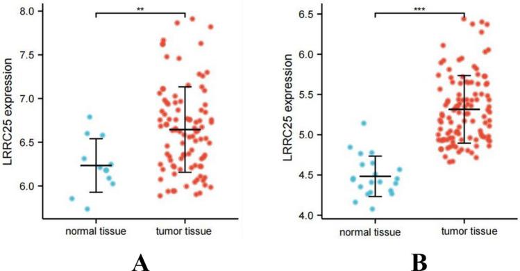 https://cdn.ncbi.nlm.nih.gov/pmc/blobs/34e7/11972229/6d0c5567a361/10620_2025_8882_Fig1_HTML.jpg
