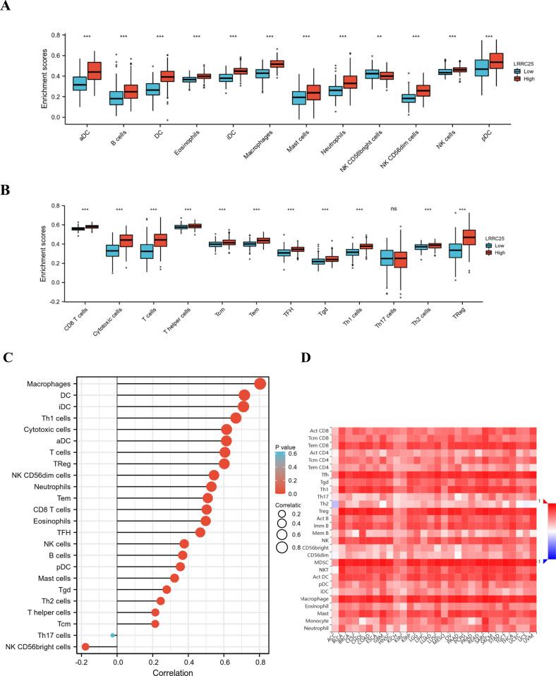 https://cdn.ncbi.nlm.nih.gov/pmc/blobs/34e7/11972229/a672f20c9c19/10620_2025_8882_Fig5a_HTML.jpg