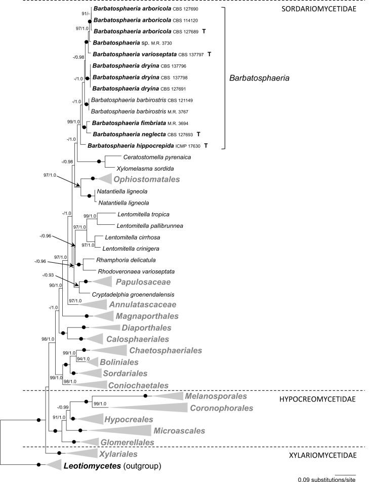 https://cdn.ncbi.nlm.nih.gov/pmc/blobs/34e7/4713105/cf2f0454f75c/per-35-021-g001.jpg