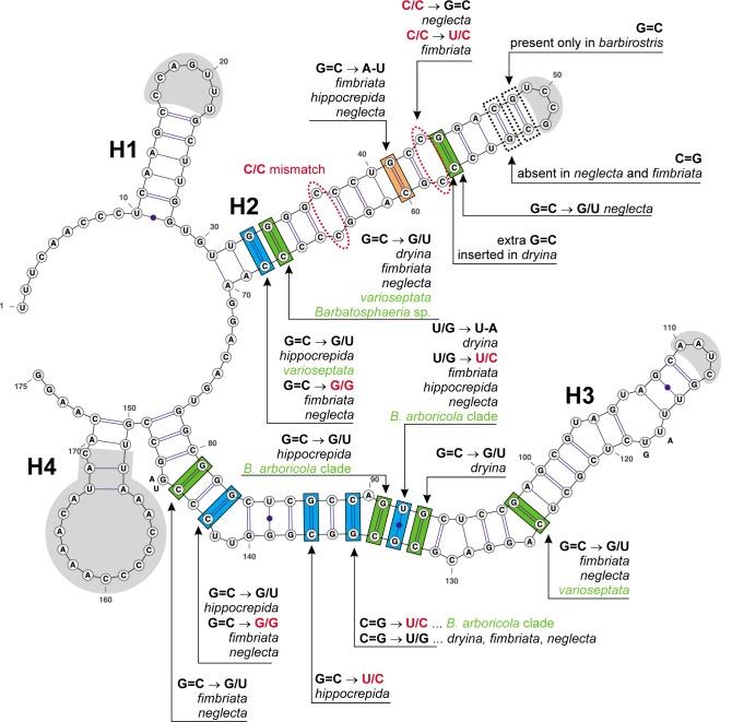 https://cdn.ncbi.nlm.nih.gov/pmc/blobs/34e7/4713105/f9170cbf7caa/per-35-021-g004.jpg