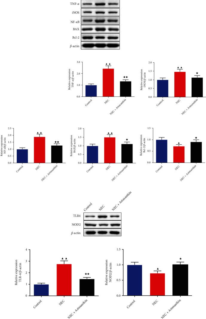 https://cdn.ncbi.nlm.nih.gov/pmc/blobs/34e9/10070044/d8bef4708778/GRP2023-6078308.004.jpg