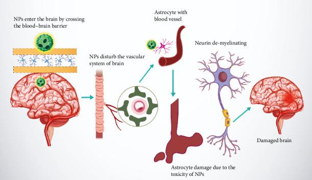 https://cdn.ncbi.nlm.nih.gov/pmc/blobs/34e9/12256179/b53848e0fd50/IJBM2025-4557622.003.jpg