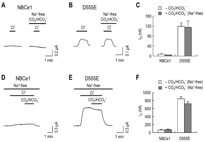 https://cdn.ncbi.nlm.nih.gov/pmc/blobs/34ed/8745181/3aa99b56b404/ijms-23-00532-g002.jpg