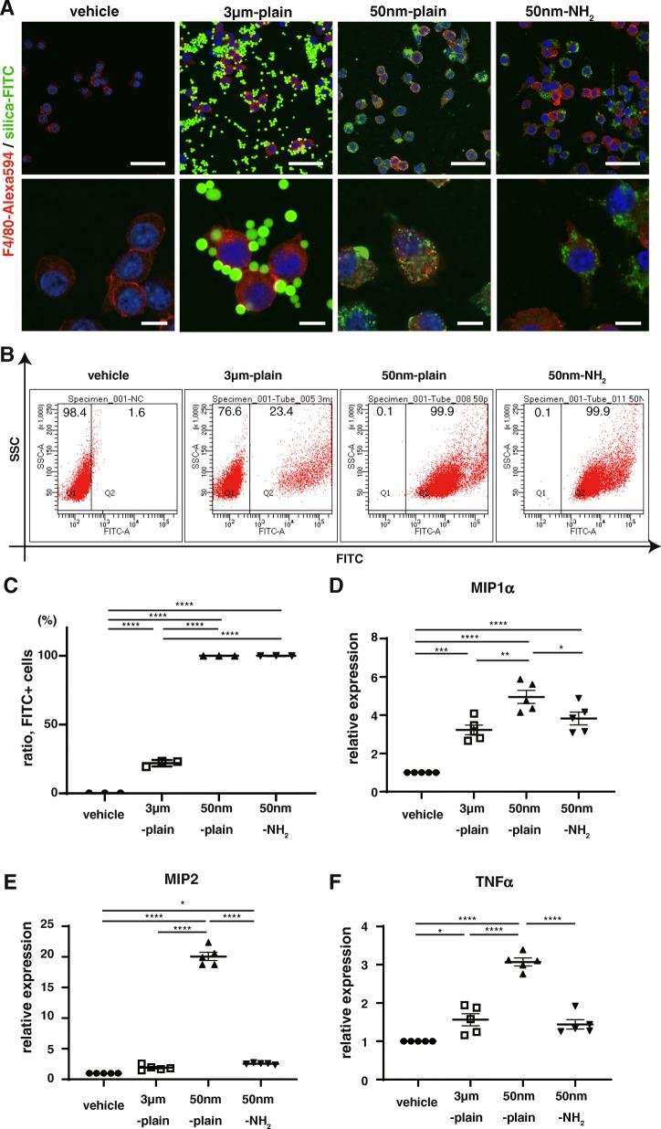 https://cdn.ncbi.nlm.nih.gov/pmc/blobs/34ee/8210371/bf5f0c705b77/12989_2021_415_Fig4_HTML.jpg
