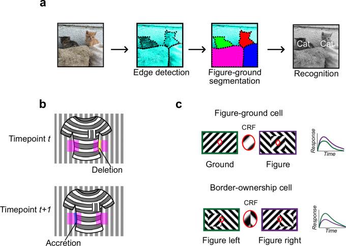 https://cdn.ncbi.nlm.nih.gov/pmc/blobs/34ee/9981152/76e1a8671518/elife-74394-fig1.jpg