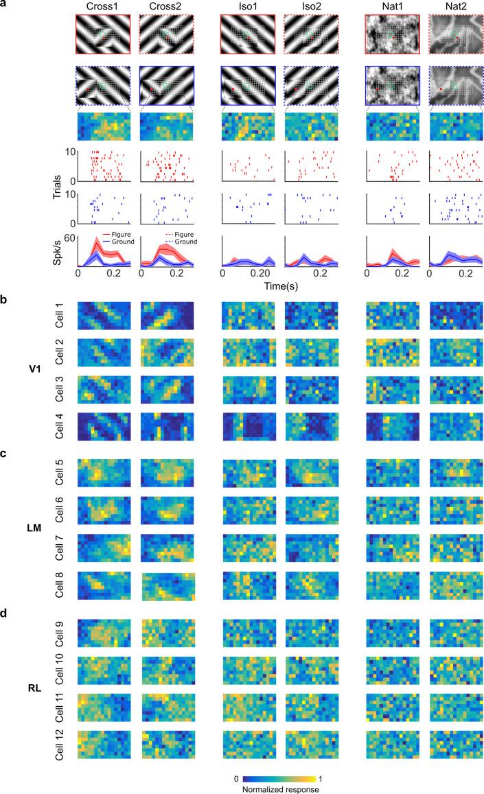 https://cdn.ncbi.nlm.nih.gov/pmc/blobs/34ee/9981152/98f58b7bff4e/elife-74394-fig4.jpg