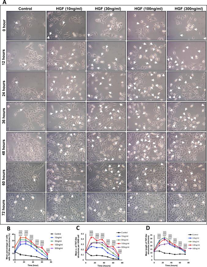 https://cdn.ncbi.nlm.nih.gov/pmc/blobs/34f0/10427768/be914baa6b49/LSA-2023-01953_FigS1.jpg