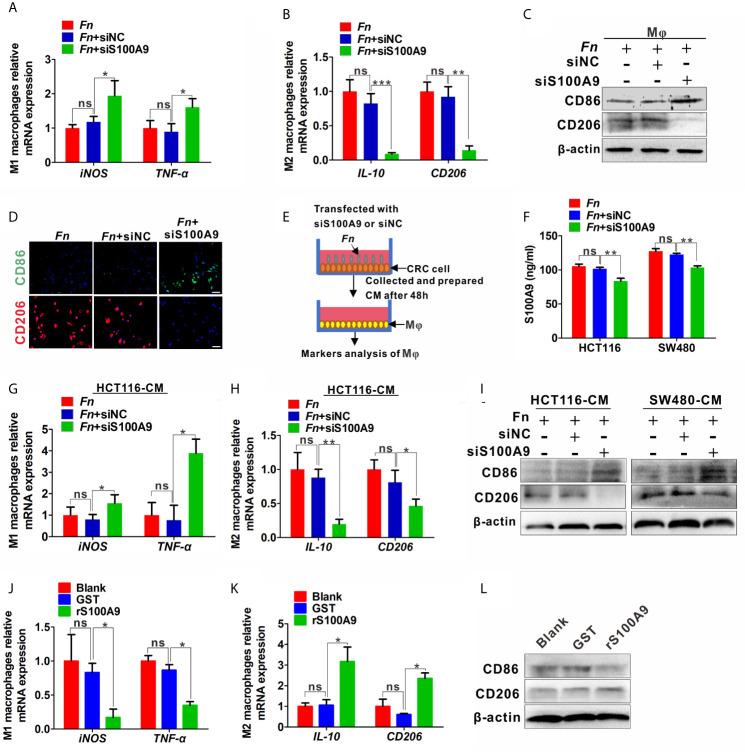https://cdn.ncbi.nlm.nih.gov/pmc/blobs/34f0/8176789/289a90c61f84/fimmu-12-658681-g003.jpg