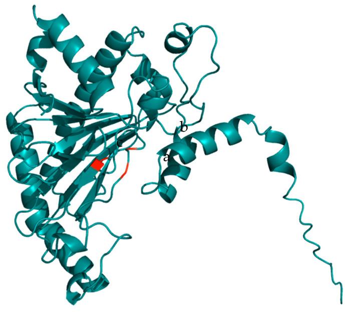 https://cdn.ncbi.nlm.nih.gov/pmc/blobs/34f1/12428408/c254b7a4319f/ijms-26-08146-g002.jpg