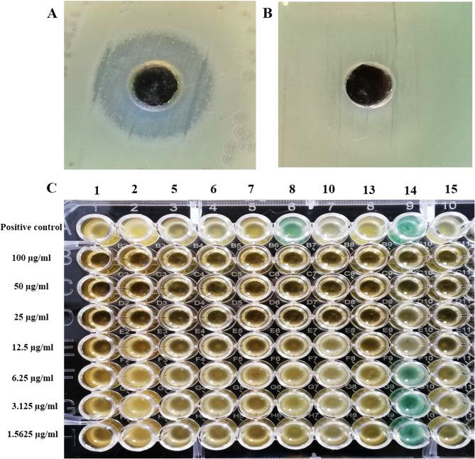 https://cdn.ncbi.nlm.nih.gov/pmc/blobs/34f2/12341118/91b2f96e4650/12866_2025_4234_Fig1_HTML.jpg