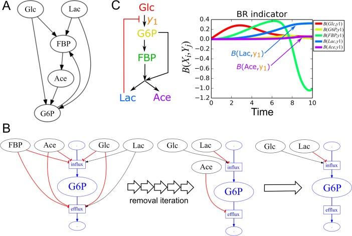 https://cdn.ncbi.nlm.nih.gov/pmc/blobs/34f3/4987946/2febd34c0c43/gkw415fig2.jpg