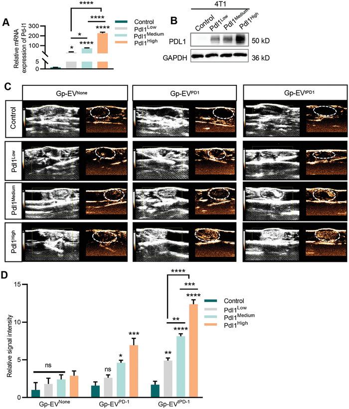 https://cdn.ncbi.nlm.nih.gov/pmc/blobs/34f5/10966526/80ce32aa68d5/ADVS-11-2305891-g009.jpg