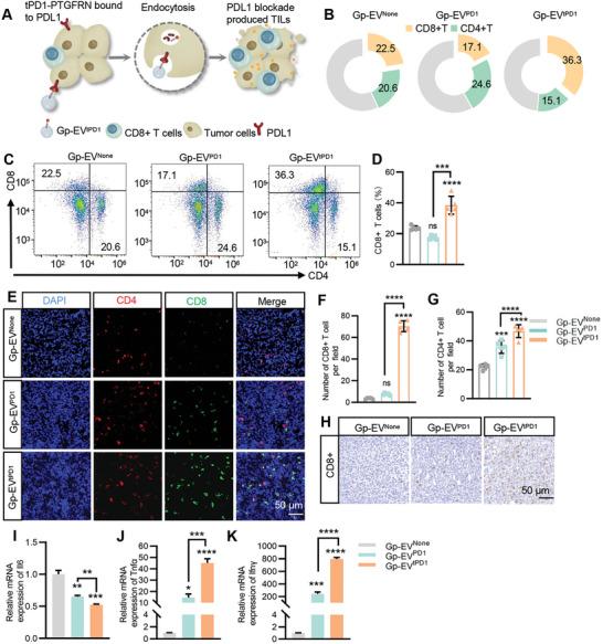 https://cdn.ncbi.nlm.nih.gov/pmc/blobs/34f5/10966526/8aa229b3d936/ADVS-11-2305891-g007.jpg